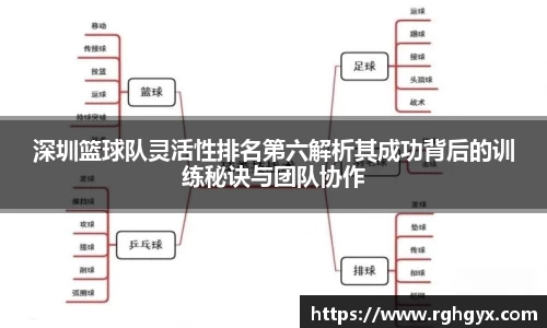 深圳篮球队灵活性排名第六解析其成功背后的训练秘诀与团队协作